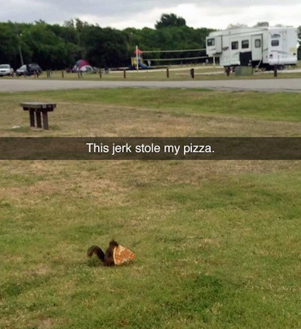 6. I knew there was something squirrely about that guy!