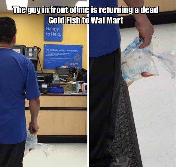 8. I would love to watch this interaction go down in real time: