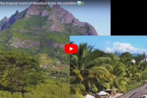 Tropical island Mauritius defines paradise 😍