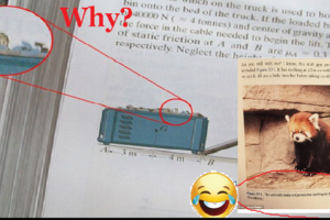 These Hilarious Textbook Fails Will Make You Wonder How They Ever Got Printed