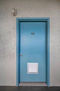 7-Island-Park-Pl-Apt-402_Dunedin_FL_34698-island-park-condominium-53