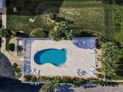 7-Island-Park-Pl-Apt-402_Dunedin_FL_34698-island-park-condominium-pool