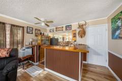 915-Wisconsin-Ave_Palm-Harbor_new_construction-gulf-8