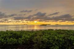 2700-Bayshore-Blvd-Apt-11405_Dunedin_FL_34698_27_tennis_court_pickleball-3
